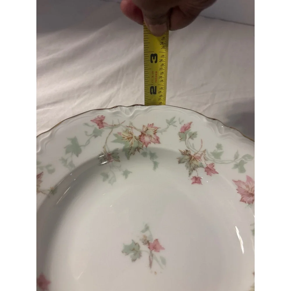 Hutschenreuther Soup Bowls Set 6 White Pink Green Scalloped Gold Rim